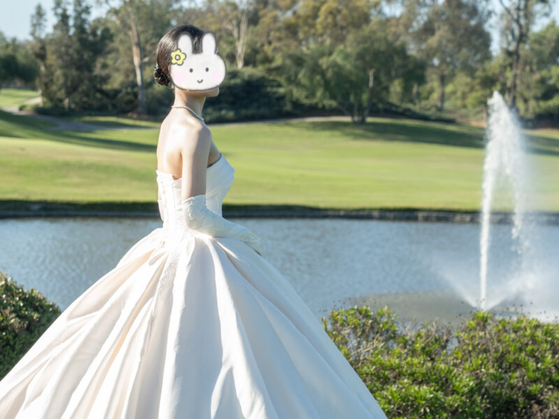 Classic Elegant Off-shoulder Ball Gown Wedding Dress