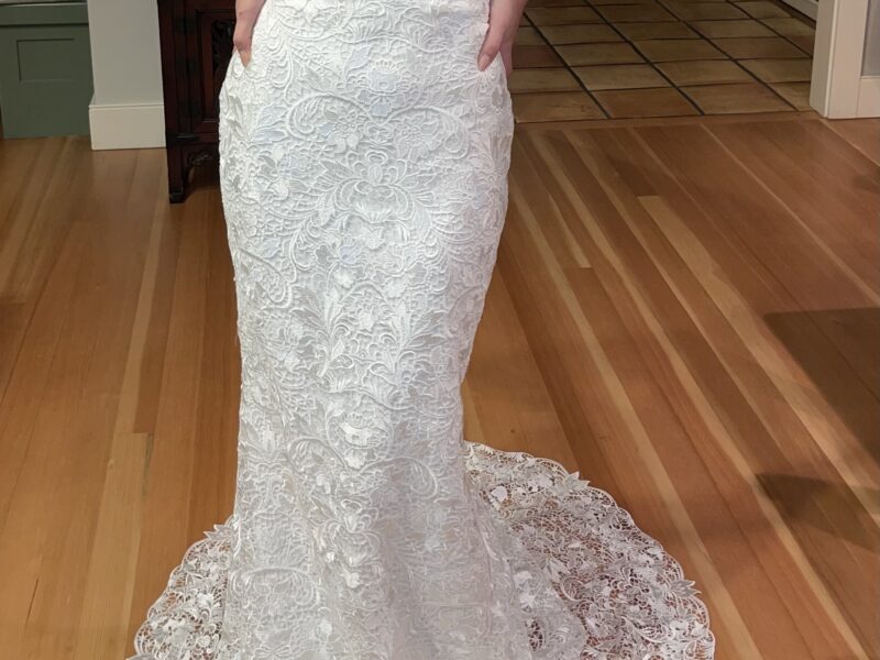 Vera Wang "Crispina" Wedding Dress - Bridal Size 6 (Tags Included)