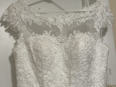 BRAND NEW-Never Worn, Tags still on: Stacees A Line Bateau Waistband Sweep Train Dress with Appliques- Size 10